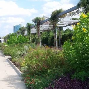 Meet your Posher, Franchesca